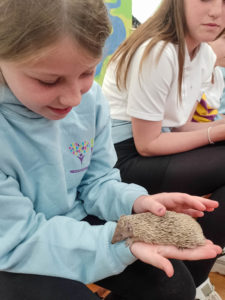 Young girl holding a hedgehog