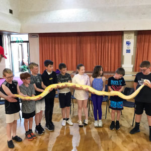 Group of children holding a long yellow boa constrictor snake.
