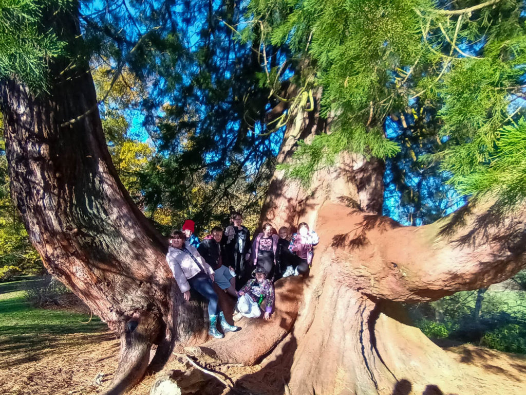 Group of Young Carers stood inside a huge tree.
